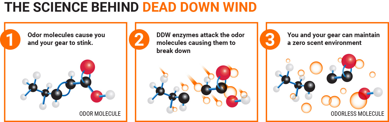 The Science Behind Dead Down Wind